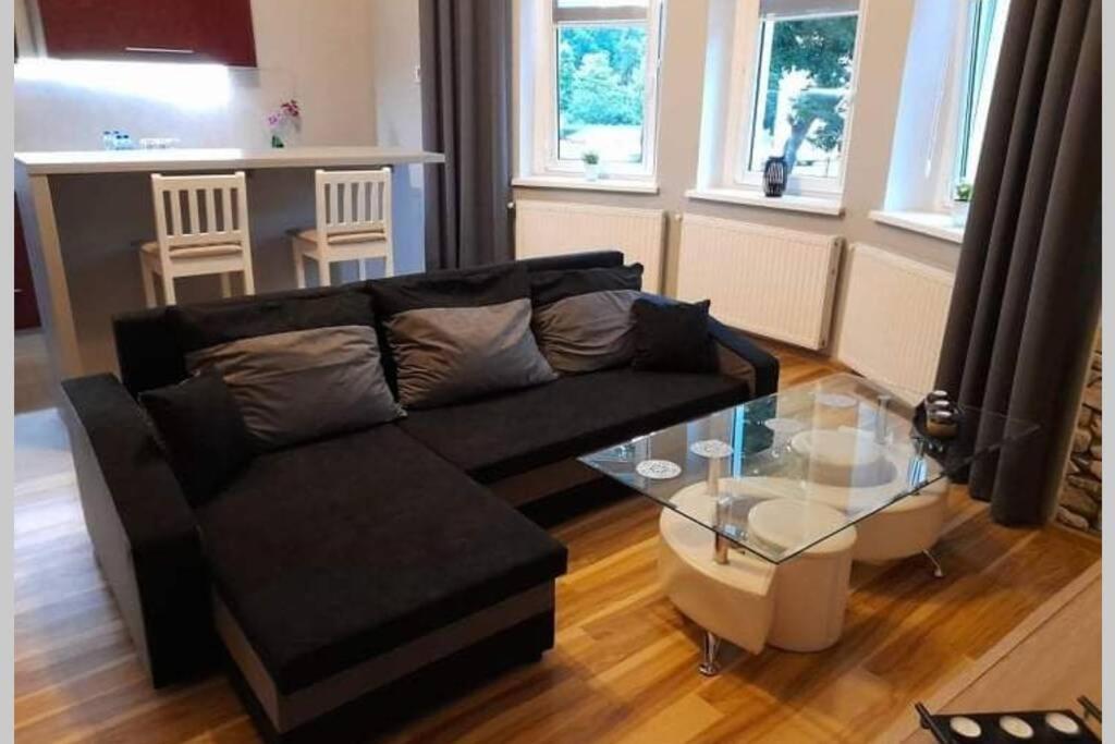 Mieszkanie Z Widokiem Na Park -Cieplice Slaskie Zdroj Apartment Jelenia Góra Екстериор снимка