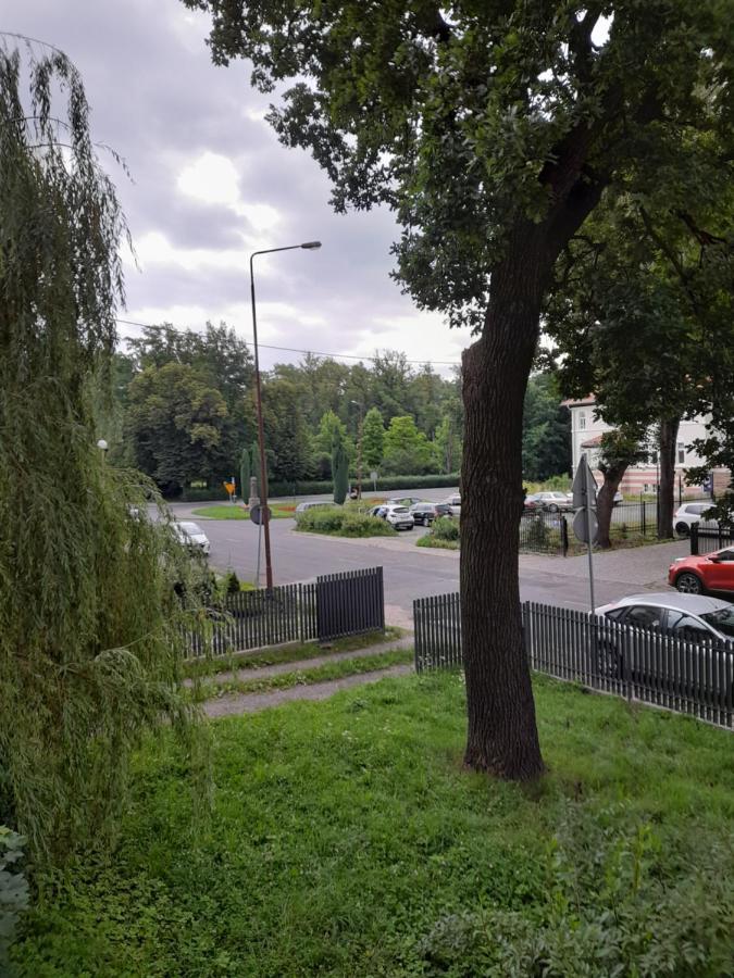 Mieszkanie Z Widokiem Na Park -Cieplice Slaskie Zdroj Apartment Jelenia Góra Екстериор снимка