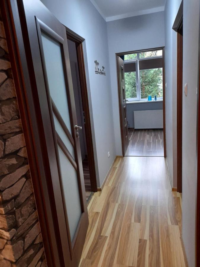 Mieszkanie Z Widokiem Na Park -Cieplice Slaskie Zdroj Apartment Jelenia Góra Екстериор снимка