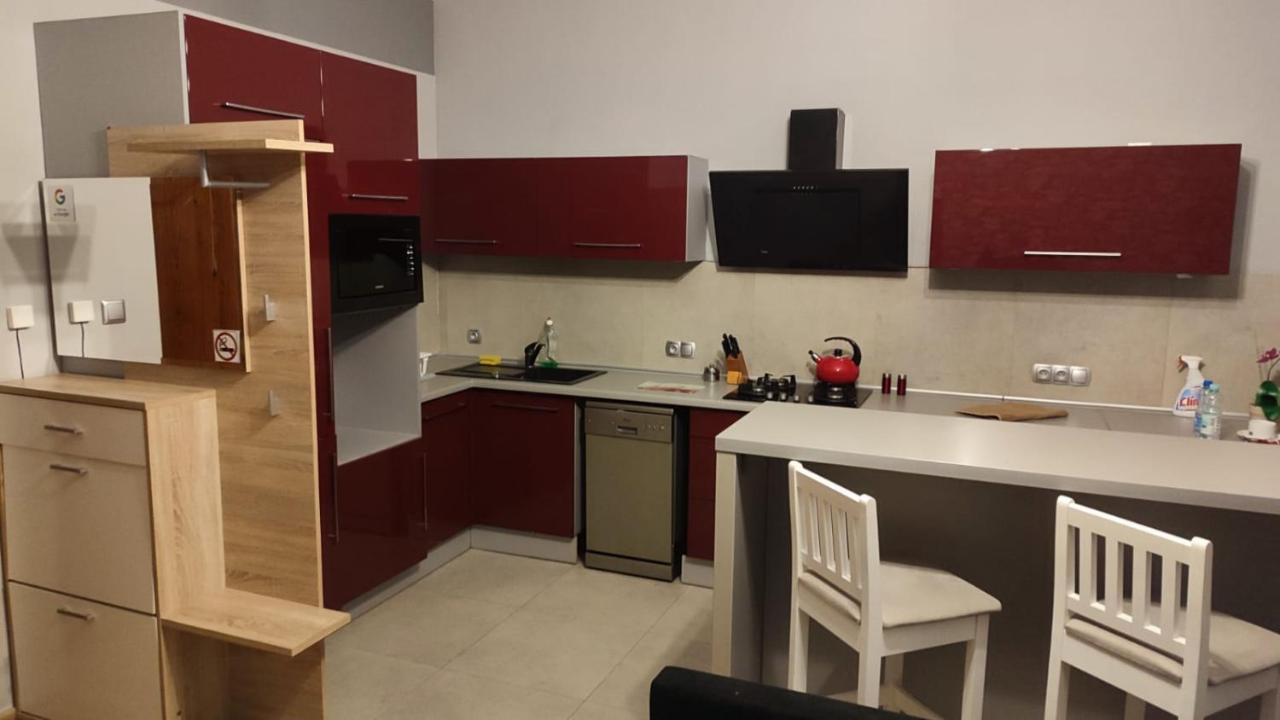 Mieszkanie Z Widokiem Na Park -Cieplice Slaskie Zdroj Apartment Jelenia Góra Екстериор снимка